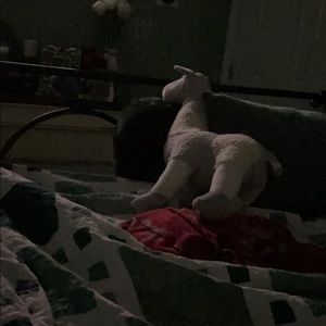 Meet your Posher, Steven